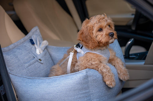 Oh Charlie Luxury Dog Car Seat | Florence - Pets Own Us - Oh Charlie - United Kingdom