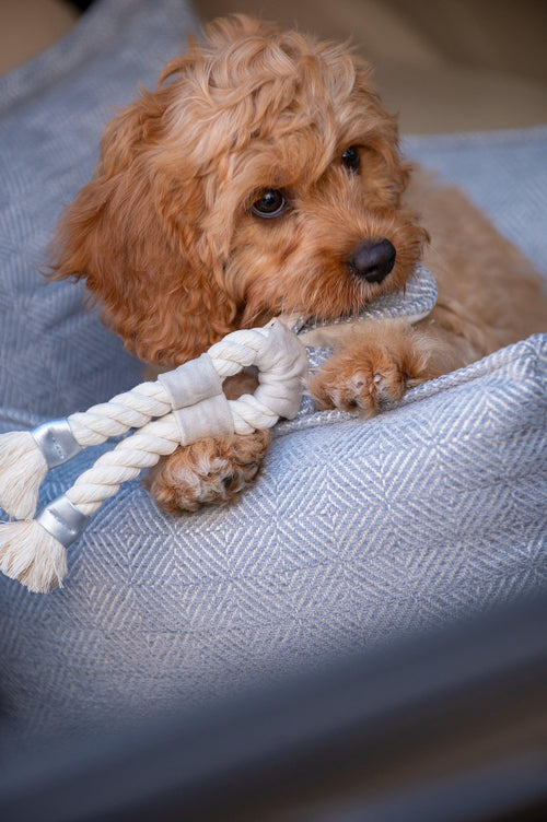 Oh Charlie Luxury Dog Car Seat | Florence - Pets Own Us - Oh Charlie - United Kingdom