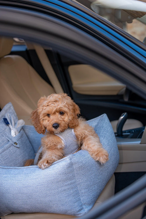 Oh Charlie Luxury Dog Car Seat | Florence - Pets Own Us - Oh Charlie - United Kingdom