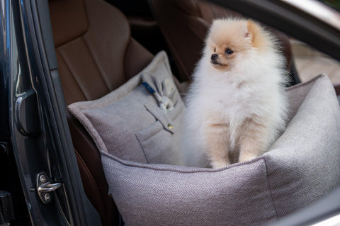 Oh Charlie Luxury Dog Car Seat | Florence - Pets Own Us - Oh Charlie - United Kingdom