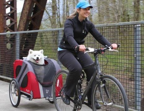 Original DoggyRide Dog Bike Trailer by Dutch Dog - Red (incl. leash set) - Pets Own Us - Dutch Dog - DRORTR09-RD United Kingdom