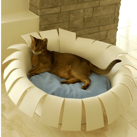 Orthopedic Cat Bed By Pet Interiors- Cream Felt Crown - Pets Own Us - Pet Interiors - United Kingdom