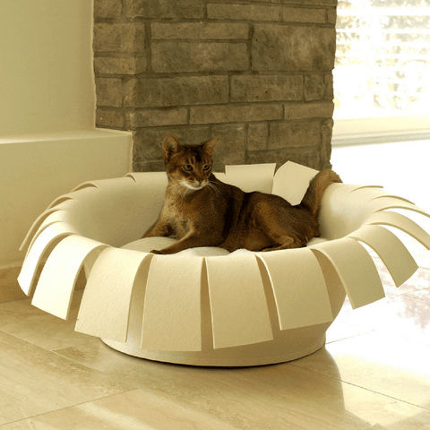 Orthopedic Cat Bed By Pet Interiors- Cream Felt Crown - Pets Own Us - Pet Interiors - United Kingdom