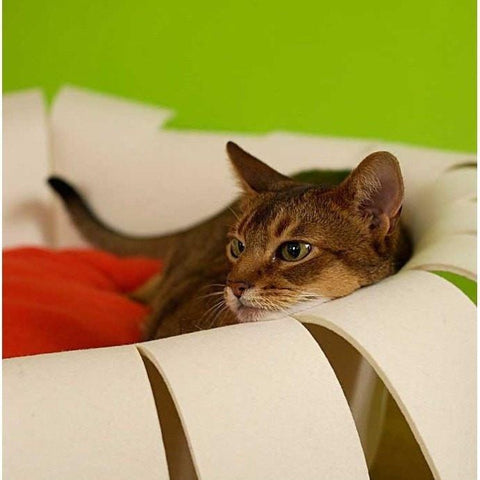 Orthopedic Cat Bed By Pet Interiors- Cream Felt Crown - Pets Own Us - Pet Interiors - United Kingdom