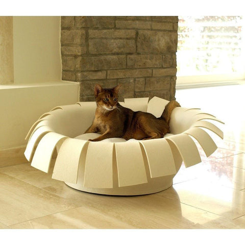 Orthopedic Cat Bed By Pet Interiors- Cream Felt Crown - Pets Own Us - Pet Interiors - United Kingdom