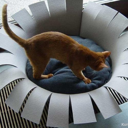 Orthopedic Cat Bed By Pet Interiors- Grey Felt Crown - Pets Own Us - Pet Interiors - United Kingdom