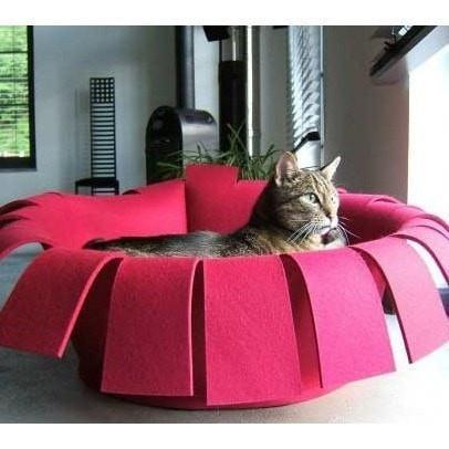 Orthopedic Cat Bed By Pet Interiors- Red Felt Crown - Pets Own Us - Pet Interiors - United Kingdom