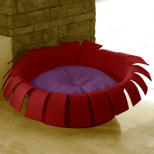 Orthopedic Cat Bed By Pet Interiors- Red Felt Crown - Pets Own Us - Pet Interiors - United Kingdom