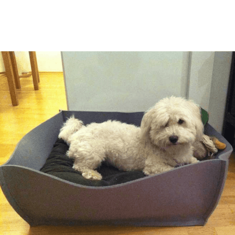 Orthopedic Pet Bed By Pet Interiors - Grey Felt Bowl - Pets Own Us - Pet Interiors - United Kingdom