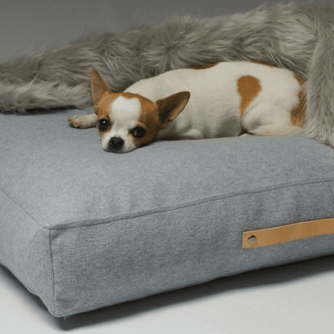 Oslo Luxury Dog Bed by Labbvenn in Cloud - Pets Own Us - Labbvenn - United Kingdom