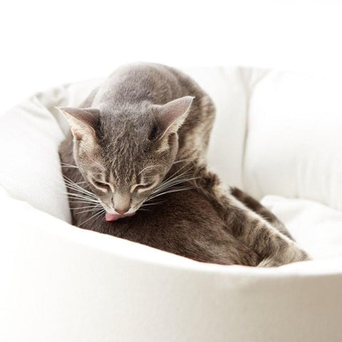 Oti Cat Bed by MyKotty - Pets Own Us - MyKotty - United Kingdom