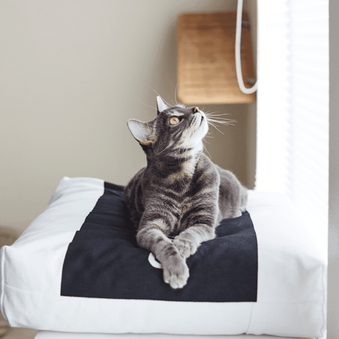 Padi Cat Cushion by MyKotty - Pets Own Us - MyKotty - United Kingdom