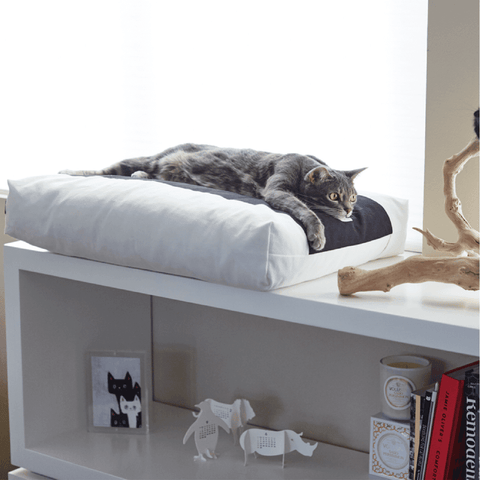 Padi Cat Cushion by MyKotty - Pets Own Us - MyKotty - United Kingdom