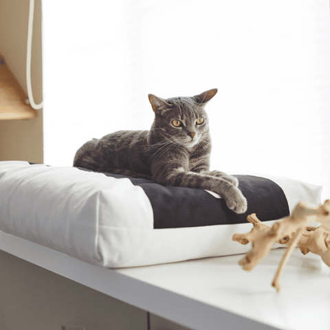 Padi Cat Cushion by MyKotty - Pets Own Us - MyKotty - United Kingdom