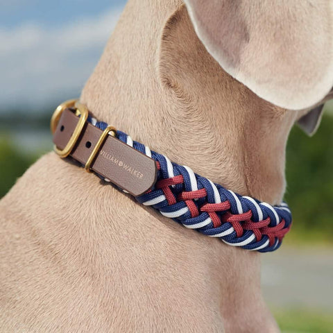 Paracord Dog Collar by William Walker - Royal - Pets Own Us - William Walker - WW-PC-R-XS United Kingdom