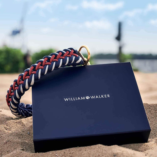 Paracord Dog Collar by William Walker - Royal - Pets Own Us - William Walker - WW-PC-R-XS United Kingdom