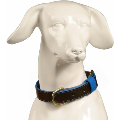 Pimlico Dog Collar by Baker & Bray - Black/Blue - Pets Own Us - Baker & Bray - BB-41-01-10-XS United Kingdom