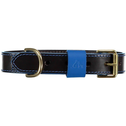 Pimlico Dog Collar by Baker & Bray - Black/Blue - Pets Own Us - Baker & Bray - BB-41-01-10-XS United Kingdom