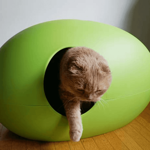 Poopoopeedo Cat Litter by Sin Design - Forest Green - Pets Own Us - Sin Design - United Kingdom