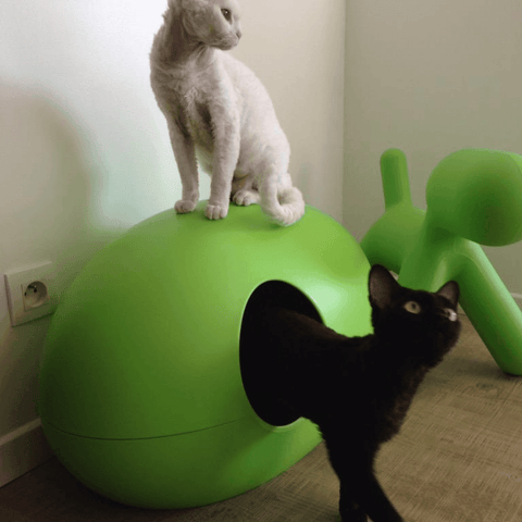 Poopoopeedo Cat Litter by Sin Design - Forest Green - Pets Own Us - Sin Design - United Kingdom