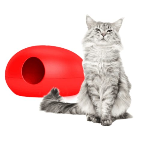 Poopoopeedo Cat Litter by Sin Design - Pets Own Us - Sin Design - United Kingdom