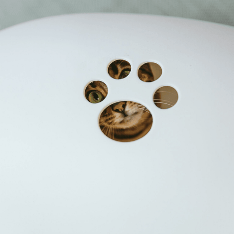 Poopoopeedo Cat Litter by Sin Design - White - Pets Own Us - Sin Design - United Kingdom