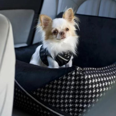 Prestige Black Car Seat LUXURY by Oh Charlie - Black - Pets Own Us - Oh Charlie - United Kingdom