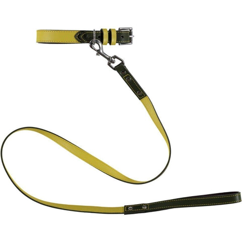 Richmond Dog Collar by Baker & Bray - Canary/Birch - Pets Own Us - Baker & Bray - BB-41-01-14-XS United Kingdom