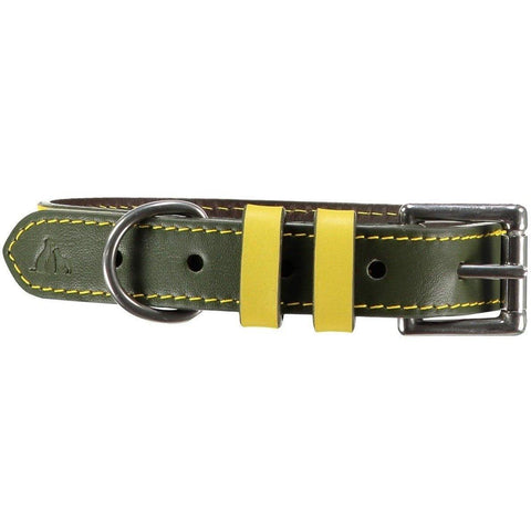 Richmond Dog Collar by Baker & Bray - Canary/Birch - Pets Own Us - Baker & Bray - BB-41-01-14-XS United Kingdom