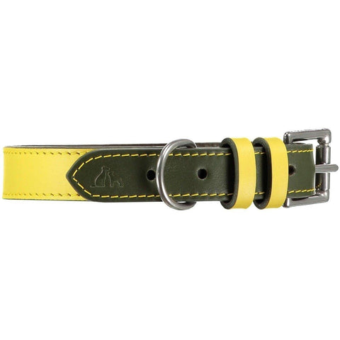 Richmond Dog Collar by Baker & Bray - Canary/Birch - Pets Own Us - Baker & Bray - BB-41-01-14-XS United Kingdom