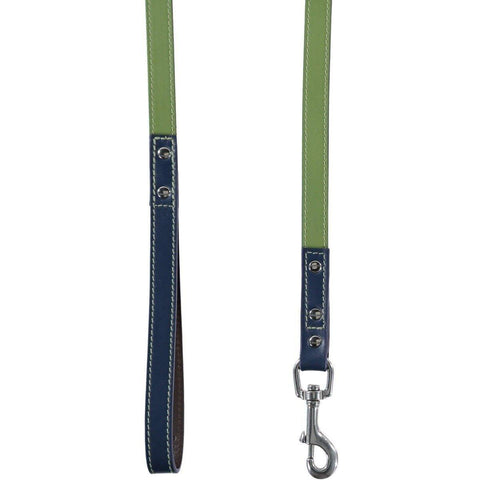 Richmond Dog Lead by Baker & Bray - Aloe/Cosmo - Pets Own Us - Baker & Bray - BB-52-01-13 United Kingdom