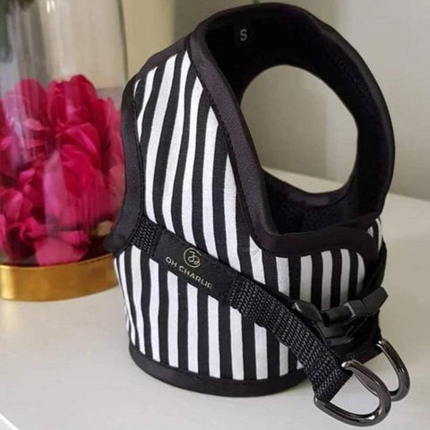 Royce Harnesses by Oh Charlie - Black & White Stripes - Pets Own Us - Oh Charlie - United Kingdom