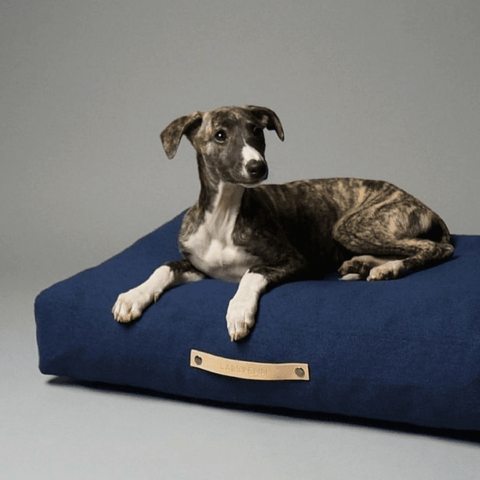 Stockholm Luxury Dog Bed by Labbvenn in Navy Blue - Pets Own Us - Labbvenn - United Kingdom