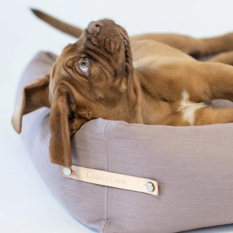 STOKKE Luxury High Side Dog Bed by Labbvenn in Grey - Pets Own Us - Labbvenn - United Kingdom