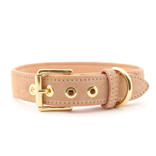 Suede Leather Dog Collar by William Walker - Coral - Pets Own Us - William Walker - WW-SC-C-XXS United Kingdom