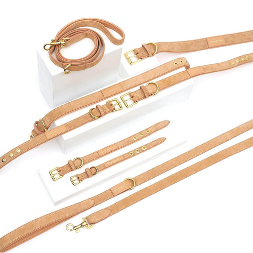 Suede Leather Dog Collar by William Walker - Coral - Pets Own Us - William Walker - WW-SC-C-XXS United Kingdom