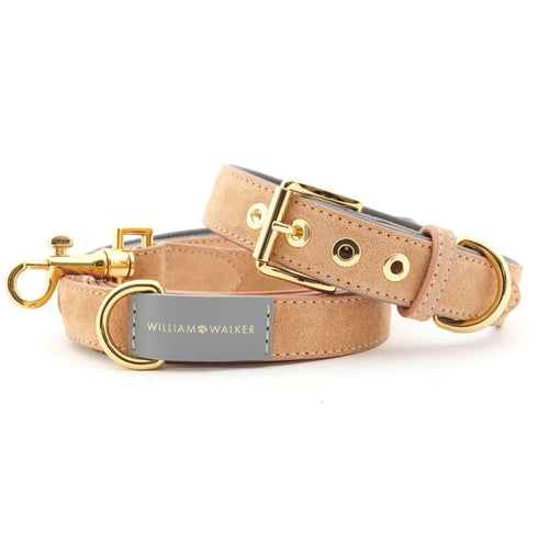Suede Leather Dog Collar by William Walker - Coral X Sea Salt - Pets Own Us - William Walker - 110031 United Kingdom
