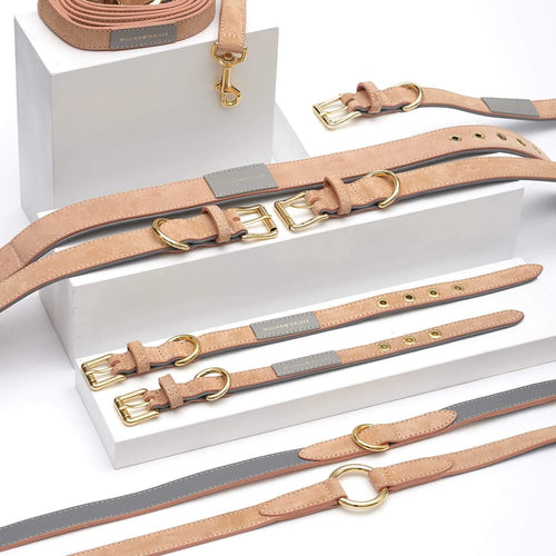 Suede Leather Dog Collar by William Walker - Coral X Sea Salt - Pets Own Us - William Walker - 110031 United Kingdom