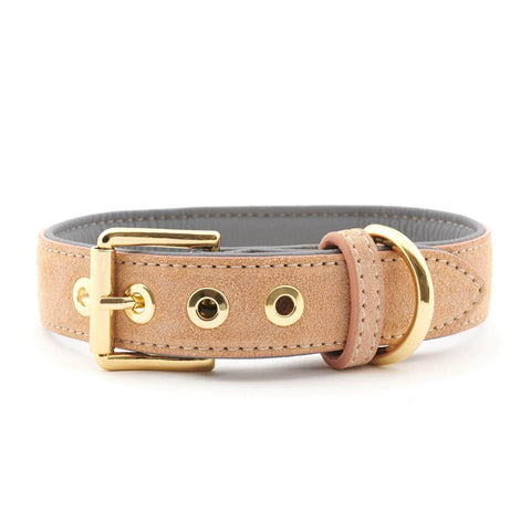 Suede Leather Dog Collar by William Walker - Coral X Sea Salt - Pets Own Us - William Walker - 110031 United Kingdom