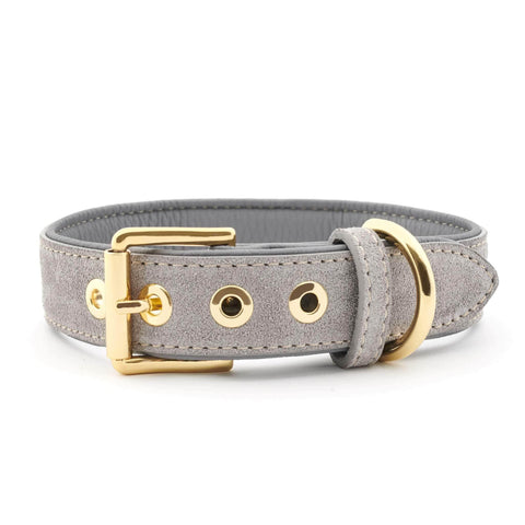 Suede Leather Dog Collar by William Walker - Sea Salt - Pets Own Us - William Walker - 110041 United Kingdom