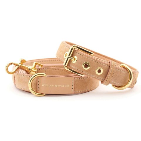 Suede Leather Dog Leash by William Walker - Coral - Pets Own Us - William Walker - 120023 United Kingdom