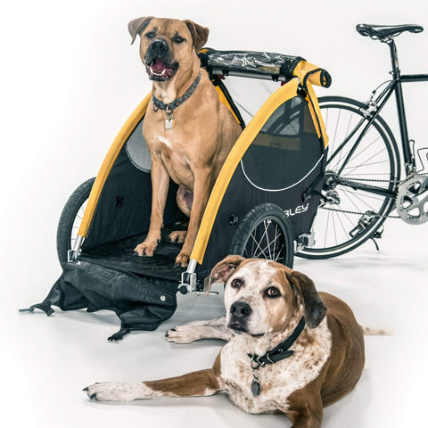 Tail Wagon Dog Bike Trailer by Burley - Pets Own Us - Burley - BUR530 United Kingdom