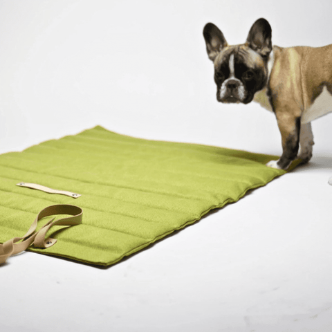 The FOSSER Dog Travel Bed by Labbvenn in Anthracite - Pets Own Us - Labbvenn - United Kingdom