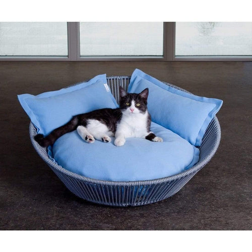 The Siro Twist By Pet Interiors - Small Orthopaedic Dog Bed - Pets Own Us - Pet Interiors - United Kingdom