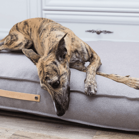 TÖVE Luxury Dog Bed by Labbvenn in Nut - Pets Own Us - Labbvenn - United Kingdom