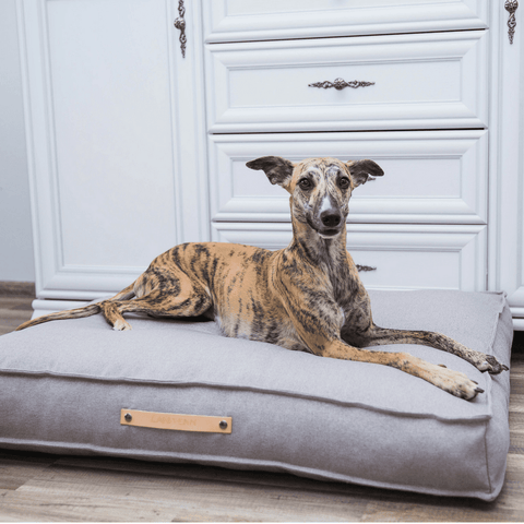 TÖVE Luxury Dog Bed by Labbvenn in Nut - Pets Own Us - Labbvenn - United Kingdom