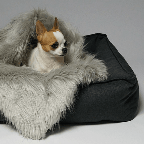 TÖVE Luxury High Side Dog Bed by Labbvenn in Anthracite - Pets Own Us - Labbvenn - United Kingdom