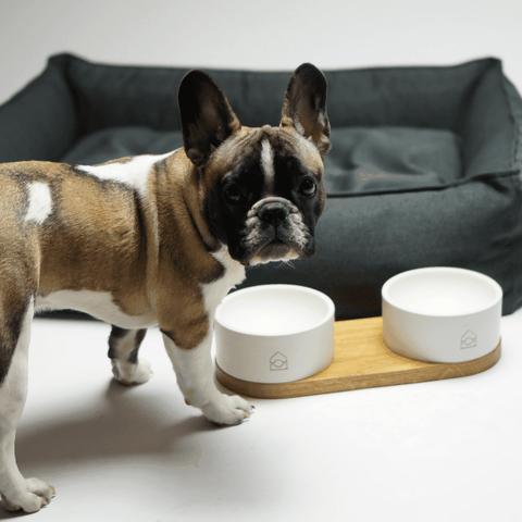 TÖVE Luxury High Side Dog Bed by Labbvenn in Brown - Pets Own Us - Labbvenn - United Kingdom