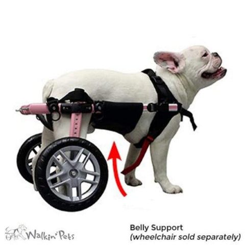 Walkin’ Belly Support - Pets Own Us - Wheels4Dogs - BWRAP0-XS United Kingdom