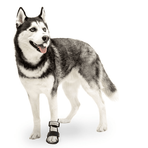 Walkin’ Bootie Dog Splint - Pets Own Us - Wheels4Dogs - SPLINTS-BOOTIE-A-XS United Kingdom